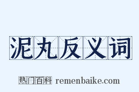 泥丸反义词是什么意思的图片